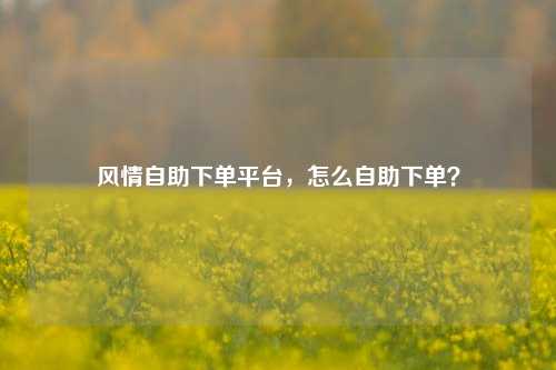 风情自助下单平台，怎么自助下单？