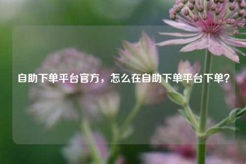 自助下单平台官方，怎么在自助下单平台下单？