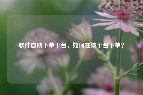 软件自助下单平台，如何在该平台下单？
