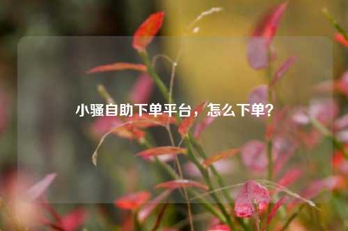 小骚自助下单平台，怎么下单？