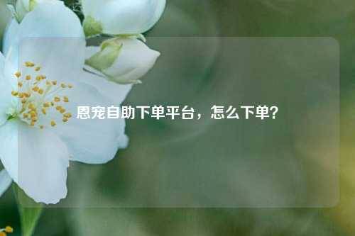 恩宠自助下单平台，怎么下单？