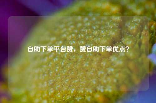 自助下单平台赞，赞自助下单优点？