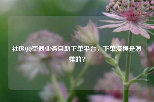 社区QQ空间业务自助下单平台，下单流程是怎样的？