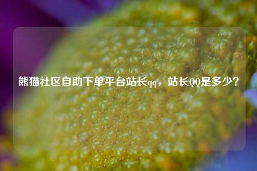 熊猫社区自助下单平台站长qq，站长QQ是多少？