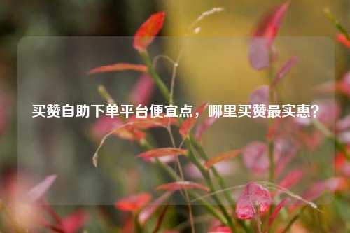 买赞自助下单平台便宜点，哪里买赞最实惠？