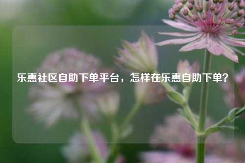 乐惠社区自助下单平台，怎样在乐惠自助下单？