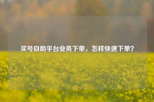 买号自助平台业务下单，怎样快速下单？
