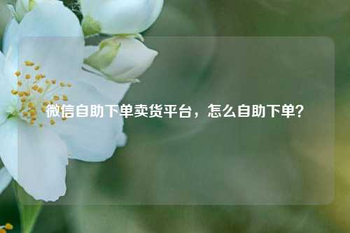 微信自助下单卖货平台，怎么自助下单？