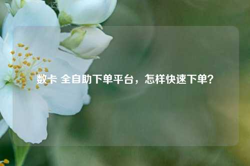 数卡 全自助下单平台，怎样快速下单？