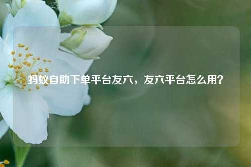 蚂蚁自助下单平台友六，友六平台怎么用？