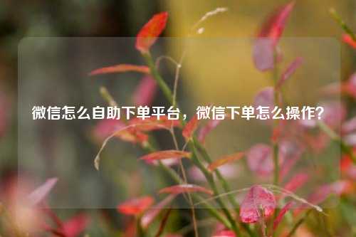 微信怎么自助下单平台，微信下单怎么操作？
