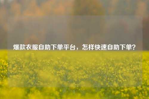 爆款衣服自助下单平台，怎样快速自助下单？