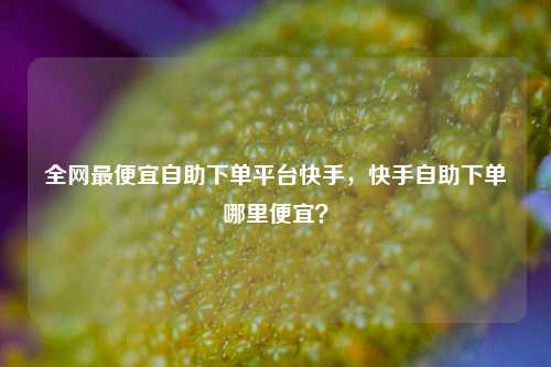 全网最便宜自助下单平台快手，快手自助下单哪里便宜？