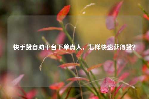 快手赞自助平台下单真人，怎样快速获得赞？