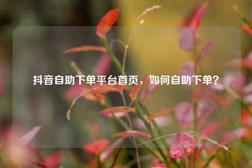 抖音自助下单平台首页，如何自助下单？