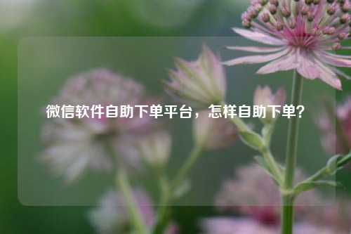微信软件自助下单平台，怎样自助下单？