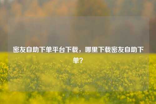 密友自助下单平台下载，哪里下载密友自助下单？