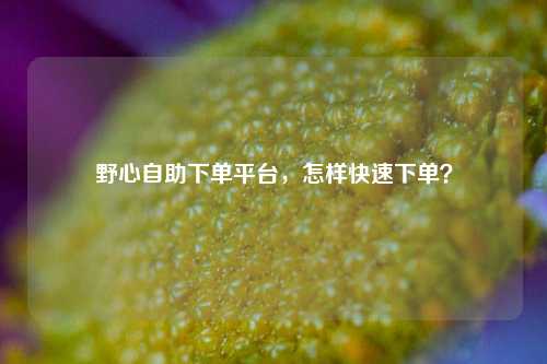 野心自助下单平台，怎样快速下单？