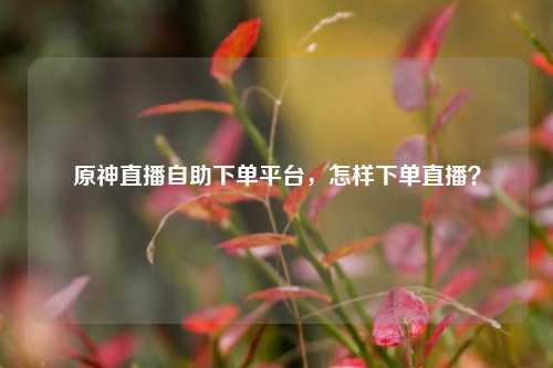 原神直播自助下单平台，怎样下单直播？