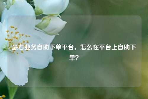 最右业务自助下单平台，怎么在平台上自助下单？