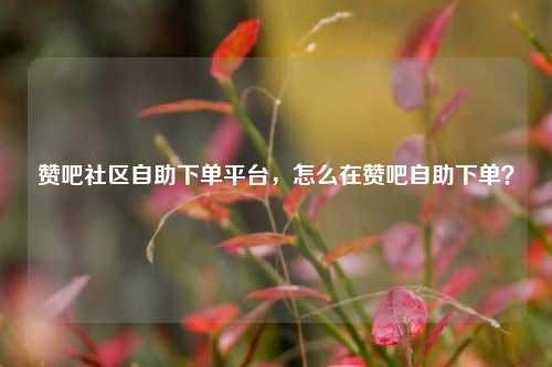 赞吧社区自助下单平台，怎么在赞吧自助下单？